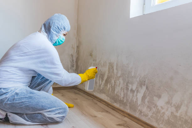 Licensed Commercial Mold Remediation service in Mukilteo, WA - WQB Mold Removal