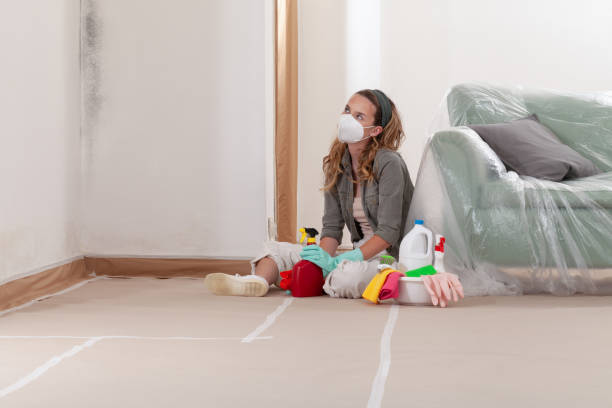 Reliable Commercial Mold Remediation contractor in Mukilteo, WA by WQB Mold Removal